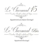 Apartment Centre Historique 